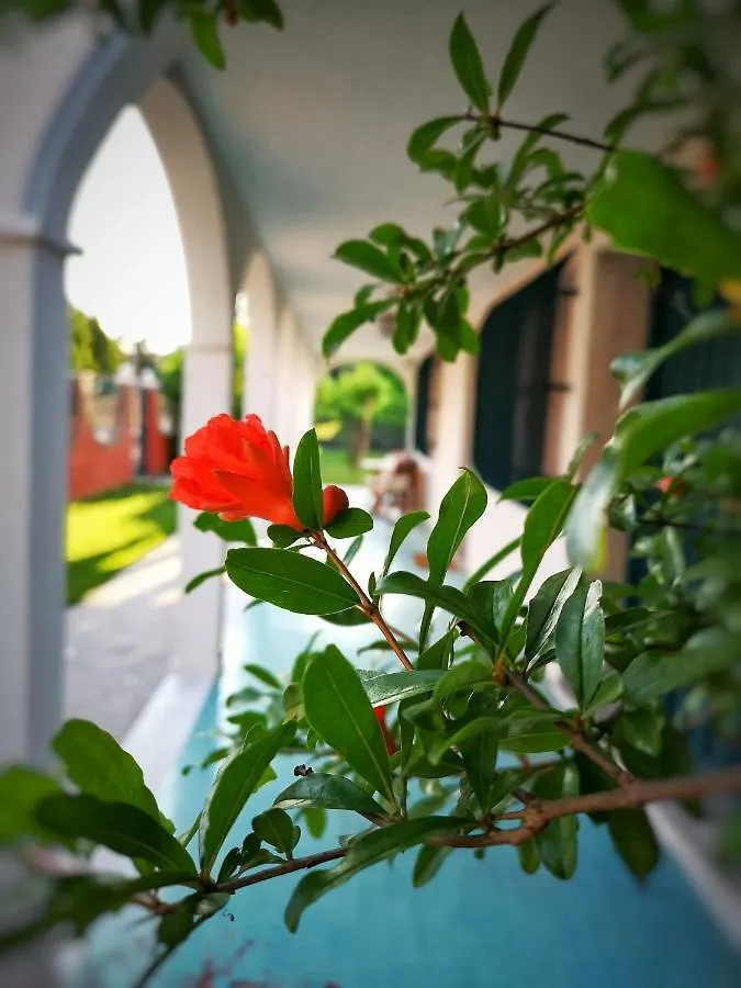Casa Del Vigneto - New Near Venice - Rooms+Bathroom - Independent Spinea Apartment