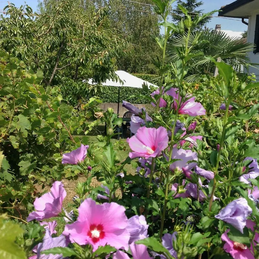 Casa Del Vigneto - New Near Venice - Rooms+Bathroom - Independent Spinea Διαμέρισμα